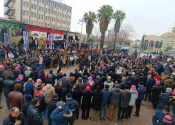 Syria Military Brief: South Syria – January 2024