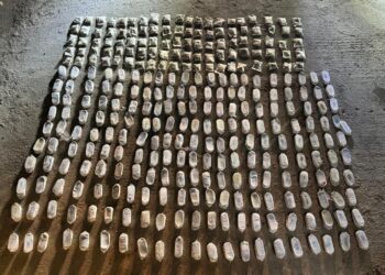 Syria Military Brief: South Syria – June 2024