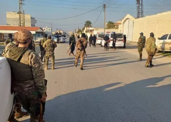 Syria Update #15: 28 January