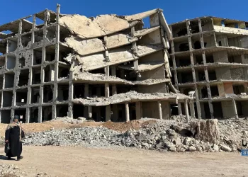 BRIEF: Improving Performance of UN & INGOs in a Post-Assad Syria