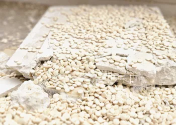 BRIEF: Cross-Border Smuggling After the Regime’s Collapse