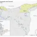 BRIEF: Tense ceasefire reinstated in north-east Syria