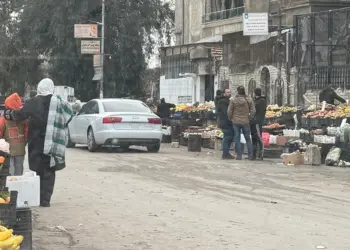 ANALYSIS: Experiences of Economic Transition in Post-Assad Syria